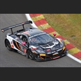 thumbnail de Fierlant / Broggi / Ojjeh, McLaren MP4-12C, Boutsen Ginion