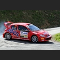 thumbnail Knapick / Lemonnier, Peugeot 206 WRC