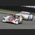 thumbnail Perez-Companc / Kaffer / Minassian, Oreca 03 - Nissan, Pecom Racing