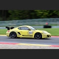 thumbnail ACNN Series #2 - Westerbeek, Porsche Cayman S
